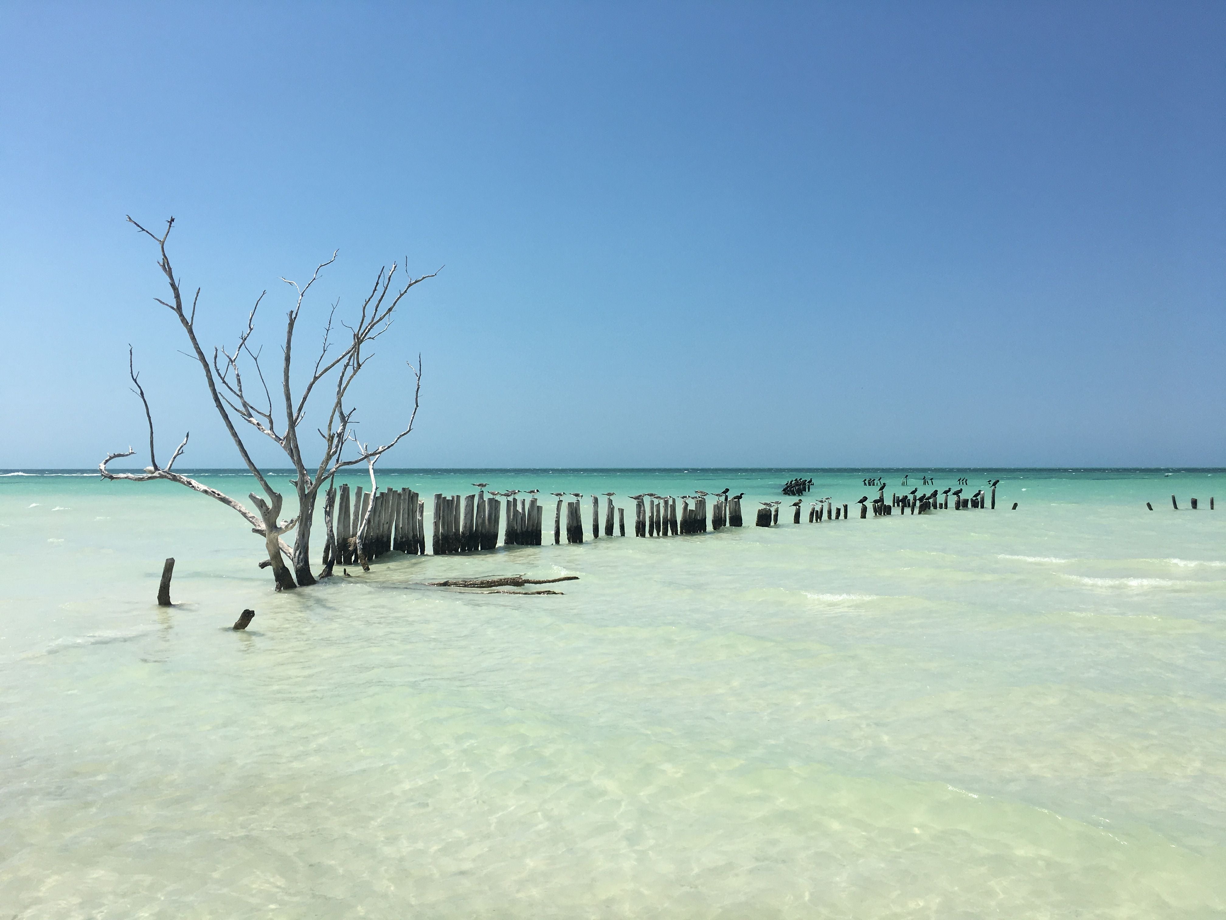 HOLBOX BUCKET LIST